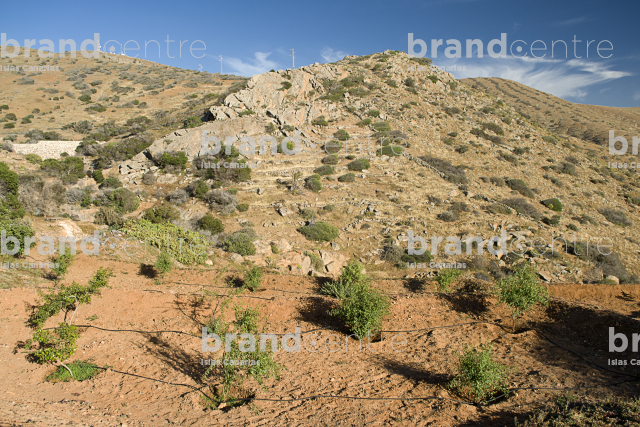 Sendero Betancuria - Valles de Ortega Sendero Betancuria - Valles de Ortega