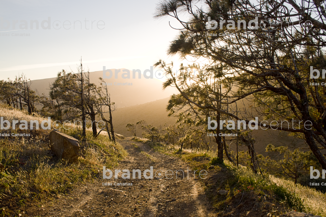 Betancuria Trail - Valleys of Ortega