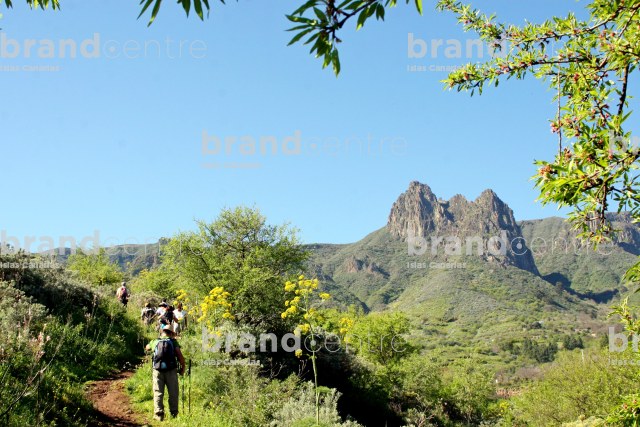 Ruta de los tajinastes azules