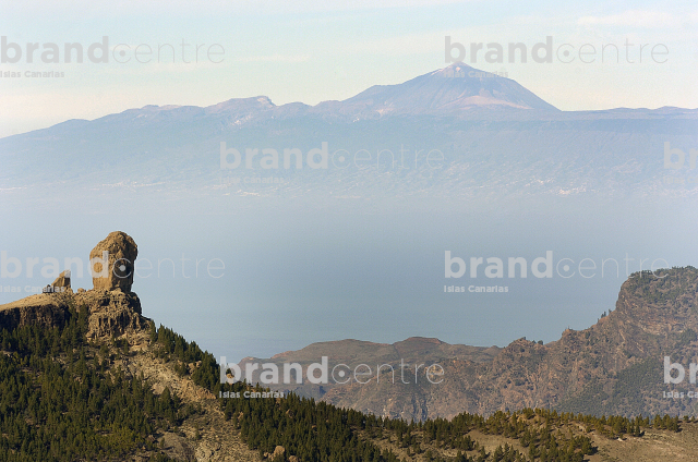 Roque Nublo Roque Nublo