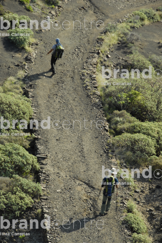 Nordic Walking