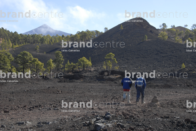 Teide National Park Teide National Park