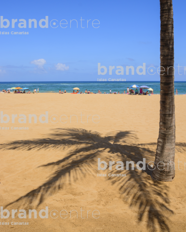 Sombra palmera playa