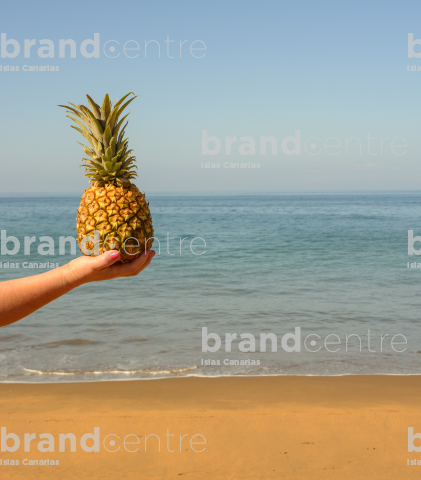 Piña Piña