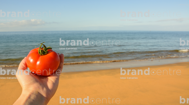 Tomato Tomato