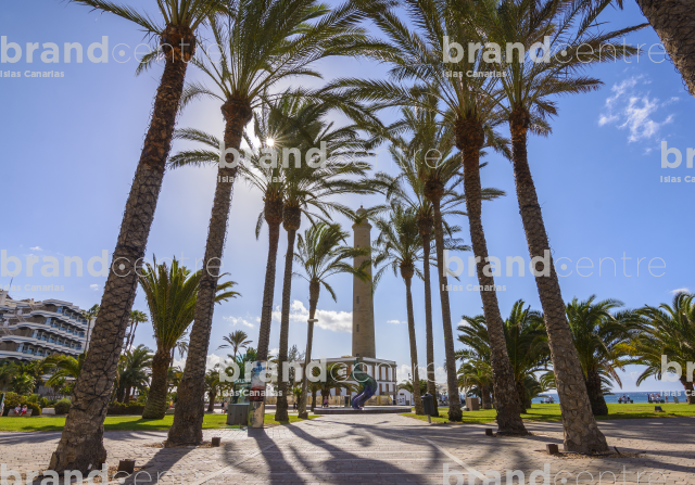 Paseo Meloneras Palmeras Paseo Meloneras Palmeras