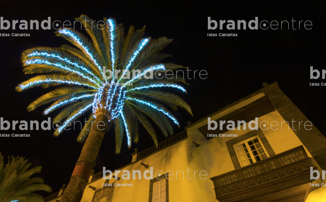 Christmas Palms Las Palmas de Gran Canaria Christmas Palms Las Palmas de Gran Canaria