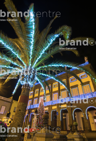 Palms illuminated Town Halls Palms illuminated Town Halls