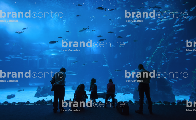 Sea Poem Curved Screen