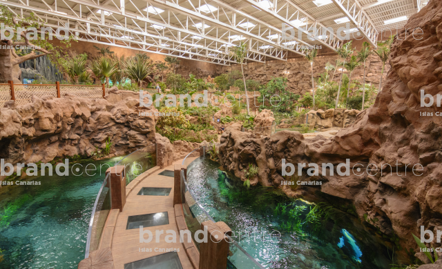 Poema del Mar Aquarium Jungle Zone