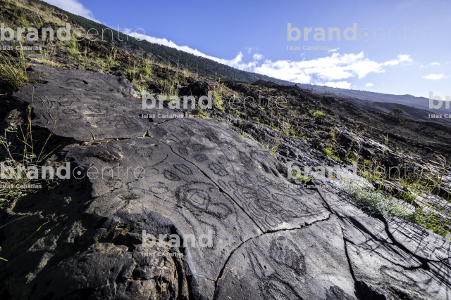 Engravings the Julan