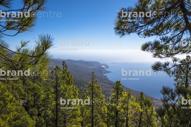 Sea views of Las Calmas