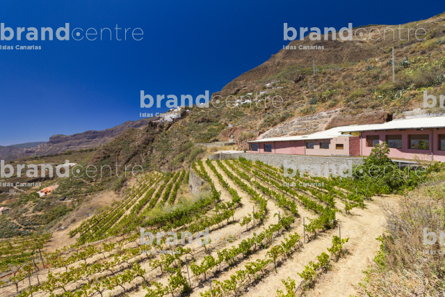 Bentayga Wineries