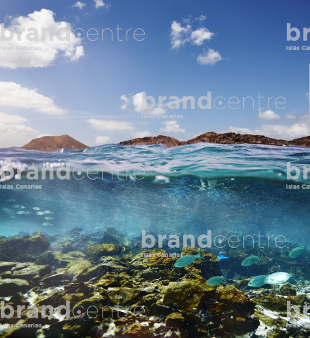 snorkel without character