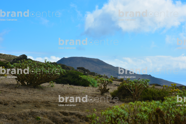Border