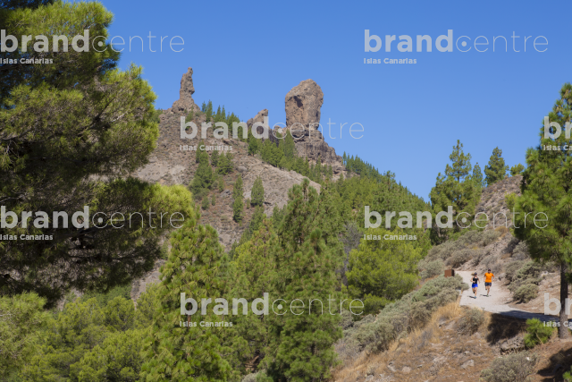 Ruta Fontanales - Garañón