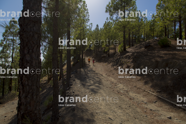 Agaete - Artenara Route