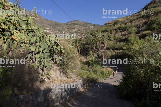 Agaete - Artenara Route