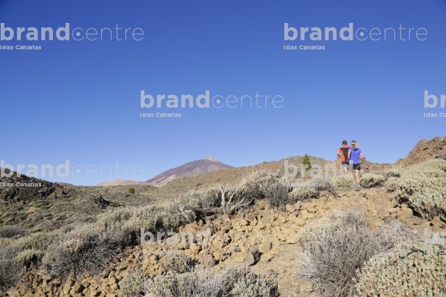 Ruta Teide - Puerto de la Cruz Ruta Teide - Puerto de la Cruz