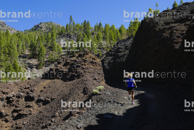 Los Cristianos - Teide Route