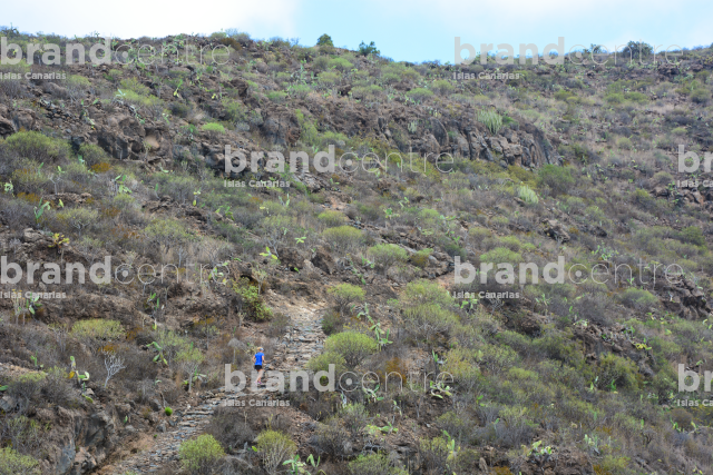 Isora Guide Isora Guide