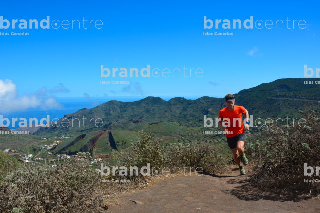 Buenavista del Norte