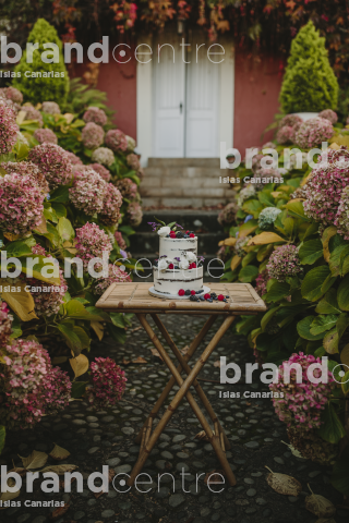 Jardines de Franchy