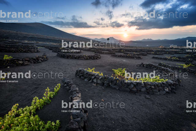 La Geria - Lanzarote La Geria - Lanzarote