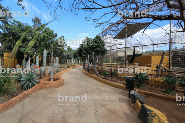 Monkey park