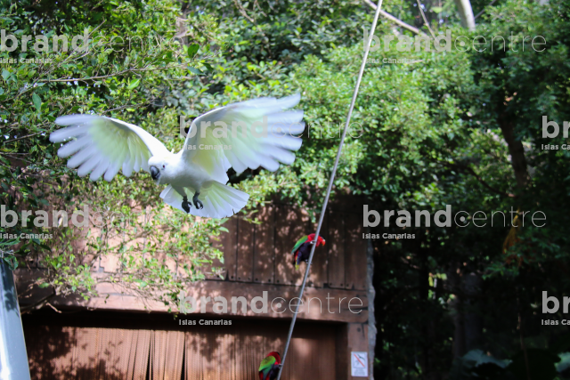 Loro parque