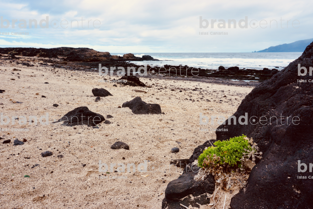 Playa Arenas Blancas en La Frontera