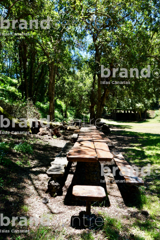 Merendero de Hoya del Pino 