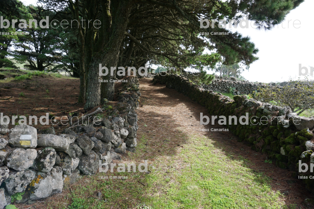 Camino La Albarrada (Rutas temáticas de senderos con guía oficial de turismo)