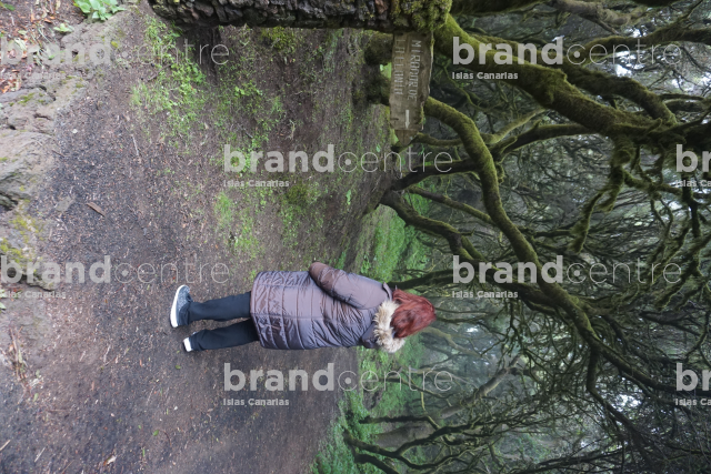 La Llanía - Small Viewpoints in El Pinar de El Hierro