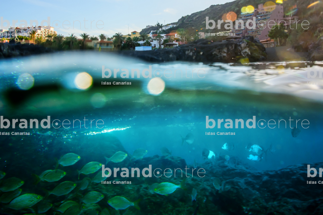 Los Cancajos, immersion point Los Cancajos, immersion point