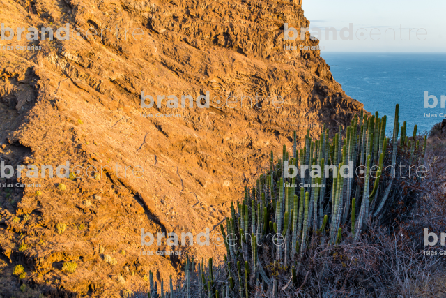 Barranco del Jurado