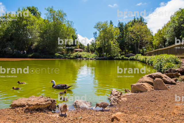 Laguna de Barlovento