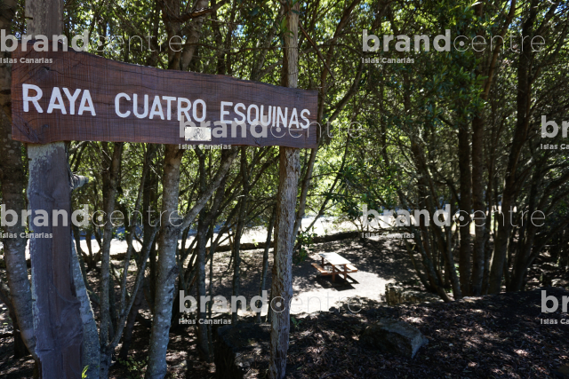 Raya de las Cuatro Esquinas - San Andrés