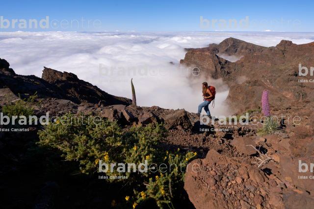 Roque de los Muchachos