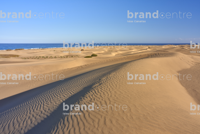 Playa de Maspalomas