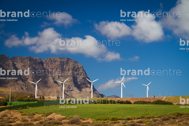 Wind turbines in the north of Gran Canaria Wind turbines in the north of Gran Canaria