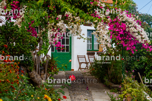 House with flowers in Sabinosa House with flowers in Sabinosa