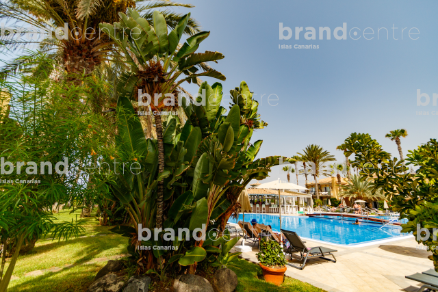 Piscina de un complejo turístico en Playa del Inglés Piscina de un complejo turístico en Playa del Inglés