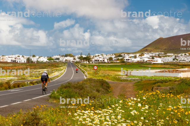 Lanzarote green and with flowers
