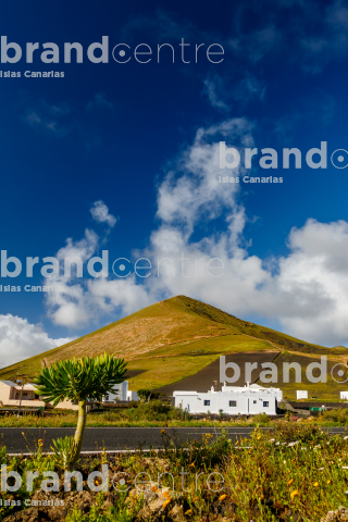 Lanzarote verde y con flores
