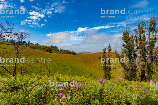 Caminata cerca de Fontanales