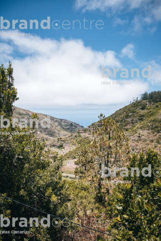 Barranco de la Palmita