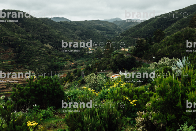 Caserío de La Palmita