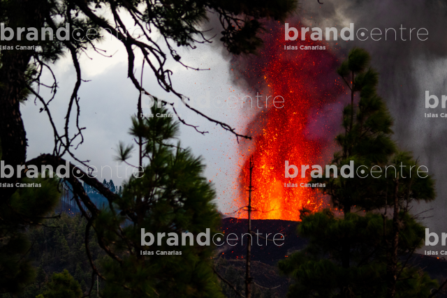Cumbre Vieja volcanic eruption, La Palma