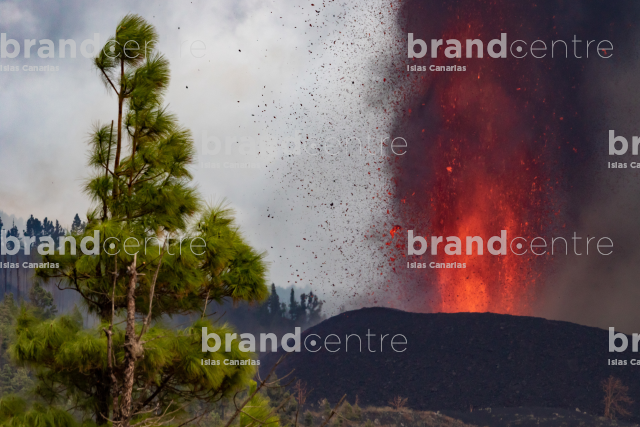 Cumbre Vieja volcanic eruption, La Palma